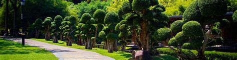 Perdana Botanical Garden Entry Fees  Perdana Botanical Garden In Kuala