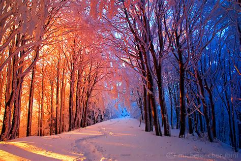 Snow Photography Winter Landscape Trees Nature Scenery