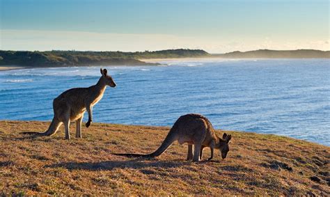 14 Top Rated Tourist Attractions In New South Wales Nsw