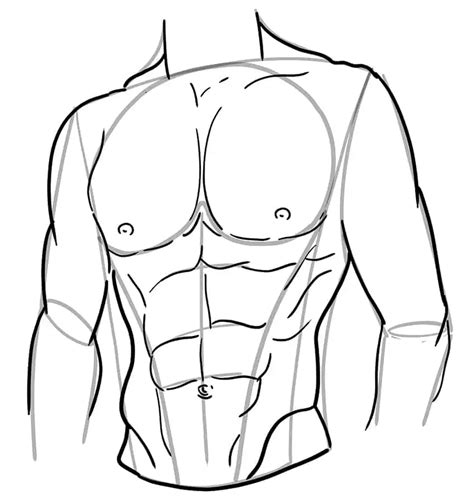 Details More Than 54 Anime Abs Drawing Latest Induhocakina