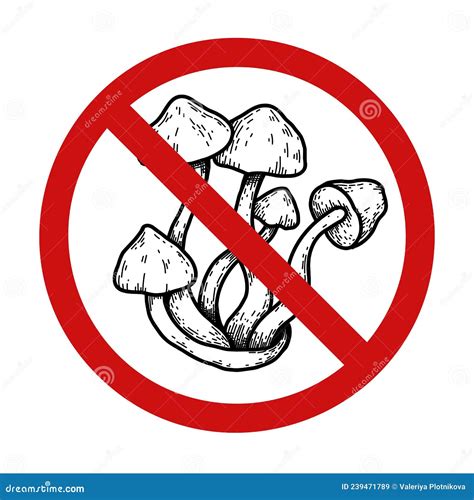 Vector Prohibition Sign With False Mushrooms Do Not Pick Poisonous