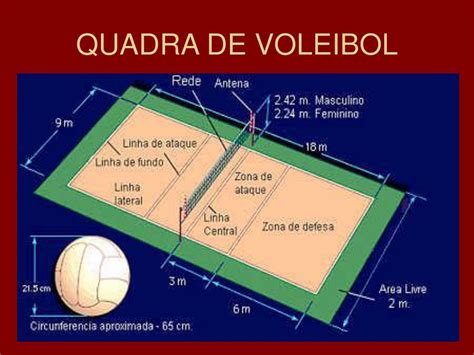 Quais As Dimensões Da Quadra De Voleibol