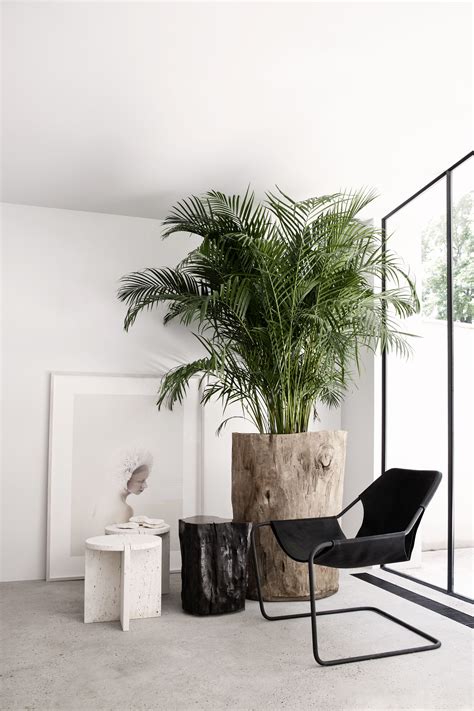 Minimalist Interior Design With Plants Nada Home Design