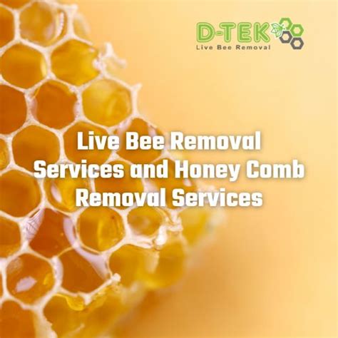 At D Tek Live Bee Removal The Bees Are Permanently Removed Without
