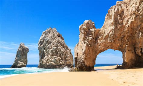 The 10 Best Cabo San Lucas Tours and Baja Mexico Cruise Excursions