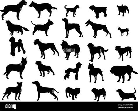 Collection Of Dogs Silhouette Vector Stock Vector Image And Art Alamy