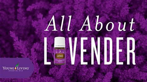 All About Lavender Young Living Essential Oils Youtube
