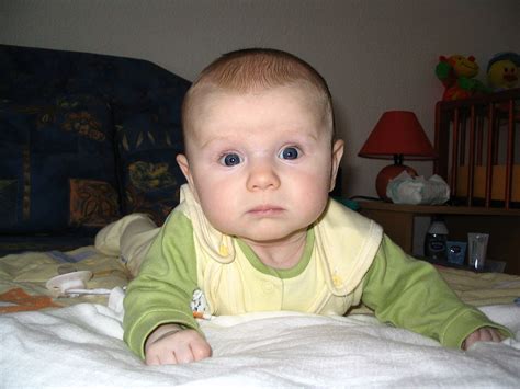 Infant Wikiquote