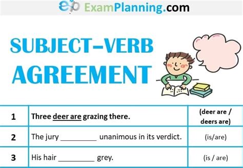 Subject Verb Agreement Rules Examples And Exercises Examplanning