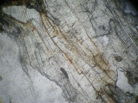 Minerali Delle Rocce Metamorfiche Al Microscopio