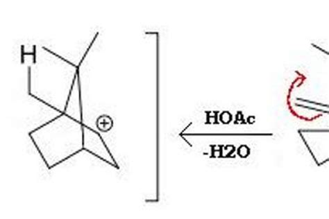 Can You Mix Potassium Hydroxide And Sodium Hydroxide - Hannah Thoma's ...