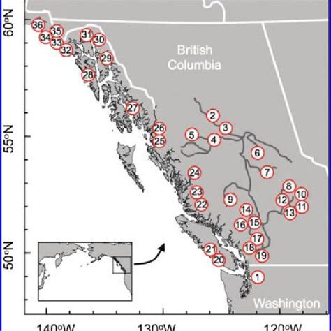PDF Productivity And Life History Of Sockeye Salmon In Relation To