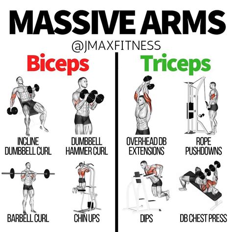 Band Bicep Exercises Cheapest Clearance Save 45 Jlcatjgobmx