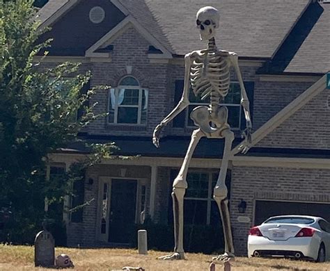 Home depot garden decorations accents of salado. Home Depot's gigantic skeleton is Halloween decoration of ...