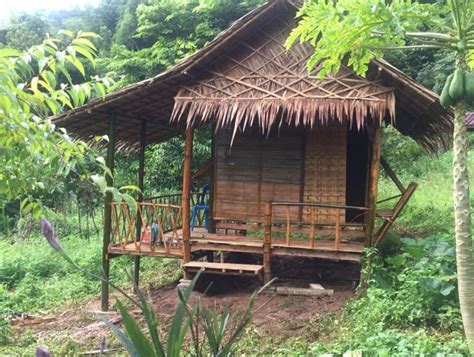 Do You Love The Designs Of These Bamboo Nipa Hut Houses Today If You