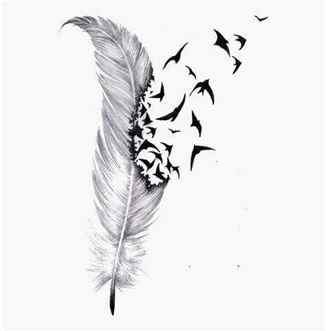 Feather Exploding Into Birds Tattoo A1 Poster Size In Inches
