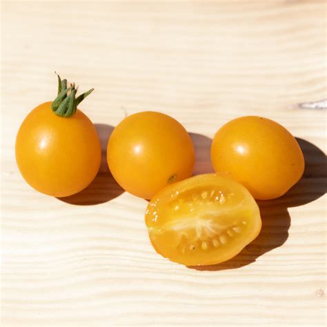 Tomate Cerise Jaune Yellow Centiflor Association Kokopelli