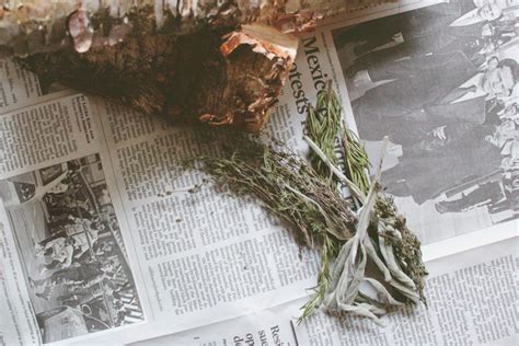 If you want to read similar articles to how to light a fire without wood, we recommend you visit our recreational activities category. FOXTAIL + MOSS: HOMEMADE: Dried Herb Fire Tinder