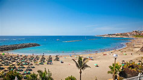 Costa Adeje Tenerife 2024 • Everything You Should Know Go Tenerife