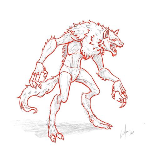 How To Draw A Werewolf Artofit