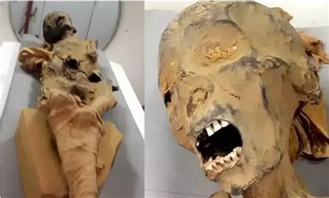archaeologists have solved the mystery of the screaming mummy from luxor archeology 2023