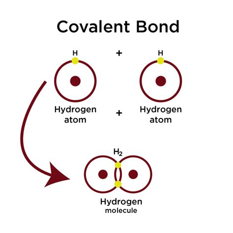 Polar Covalent Bond Definition And Examples In Chemistry D2B