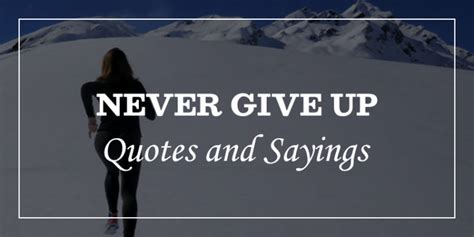 99 Never Give Up Quotes Will Double Your Perseverance DP Sayings