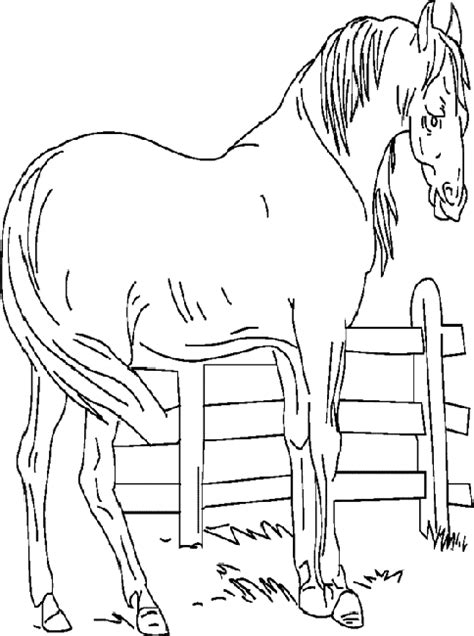 Animales de granja Dibujos Para Colorear - Dibujos1001.com