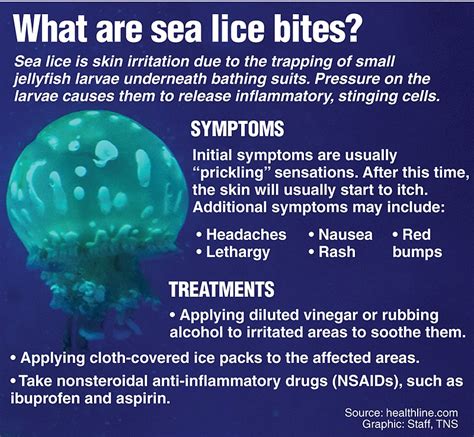sea lice outbreak causes discomfort texarkana gazette