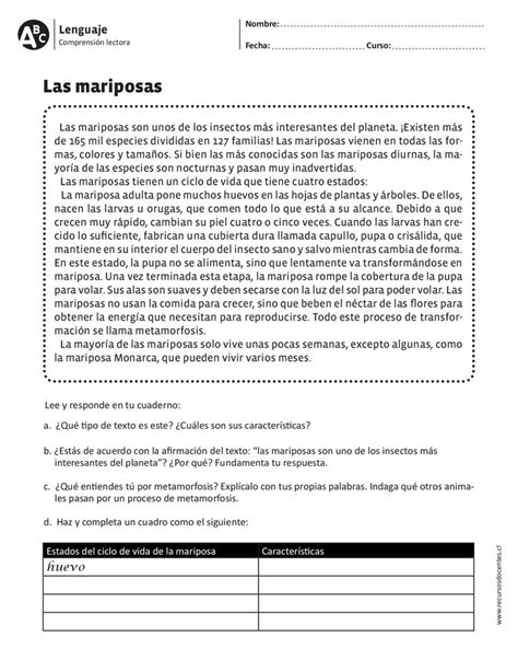 Conjunto De 15 Fichas Para Trabajar La Comprensión Lectora 3º Y 4º