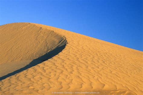 Great Sand Hills Sand Dune Near Sceptre Saskatchewan Branimir