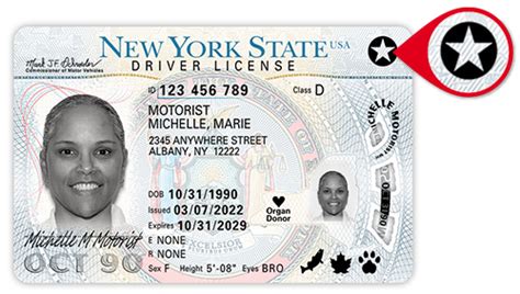 Passport Card Vs Real Id Everything You Should Know About