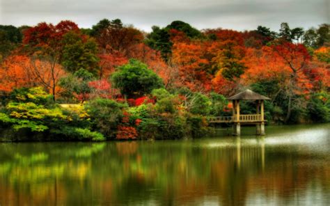 Free Download Beautiful Autumn Scenes X Wallpapers X Wallpapers X For