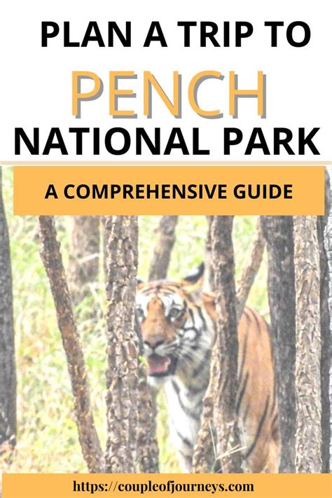 Plan A Trip To The Pench National Park Wildlife Travel Wildlife Safari