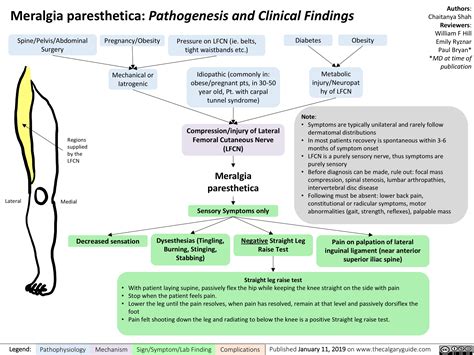 Meralgia Paresthetica Pathogenesis And Clinical Findings Calgary Guide