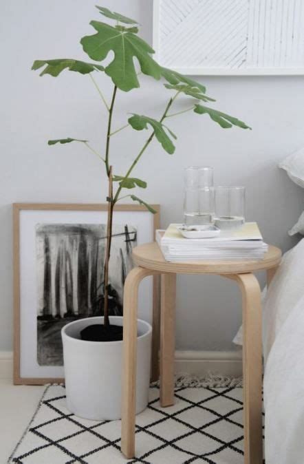 Best Bedroom Plants White Bedside Tables 35 Ideas | Bedside table