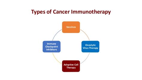 Basics Of Cancer Immunotherapy 2017