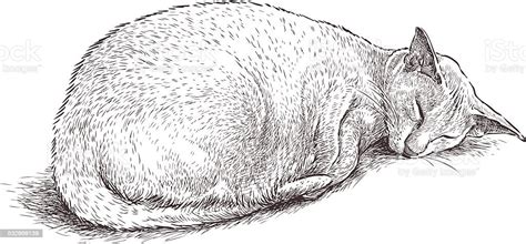 Sleeping Cat Stock Illustration Download Image Now Istock