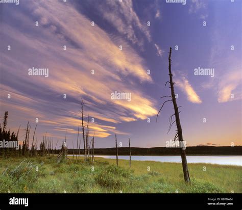 Natural Moments Photography Sunset Cloud Mations Boggy Lake Near