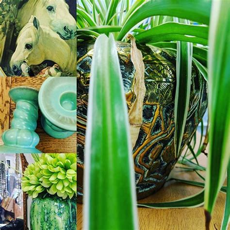 Cactus agony i love you. Wonderful One Off Campaign continues in store.... Weird ...