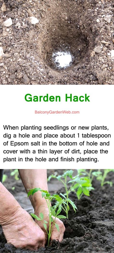 Have some smart hacks you've tried through the years? 22 Gardening Hacks That'll Change the Way You Garden ...
