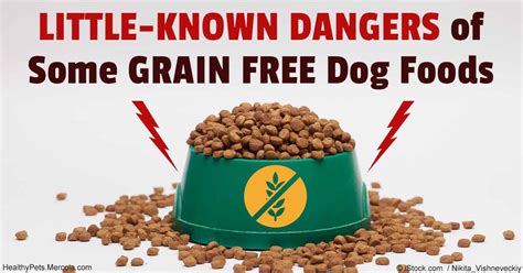 Dogs sometimes develop allergies or sensitivities to ingredients in their food. Should You Feed Your Pet Grain-Free or Not?
