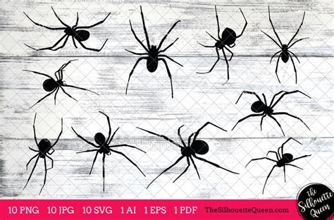 Black Widow Spider Svg Spider Monogram Spider Svg File Etsy