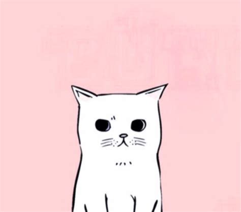 Create Meme Cute Cats Drawings For Drawing Cats For Drawing Are Light