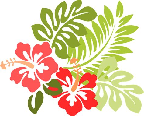 Hawaii Hibiscus Flora · Free Vector Graphic On Pixabay