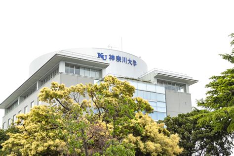 指定なし 北海道 青森 岩手 秋田 宮城 山形 福島 山梨 茨城 栃木 群馬 埼玉 千葉 東京 神奈川 長野 新潟 富山 石川 福井 静岡 愛知 岐阜 三重 滋賀 京都 大阪 兵庫 奈. 緊急事態宣言を受け、神奈川大学が8月1日まで大学構内を ...