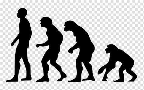 Group Of People Evolution Human Evolution Wall Decal Tshirt Life