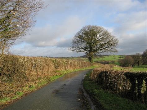 A Country Road © Roger Gilbertson Geograph Britain And Ireland