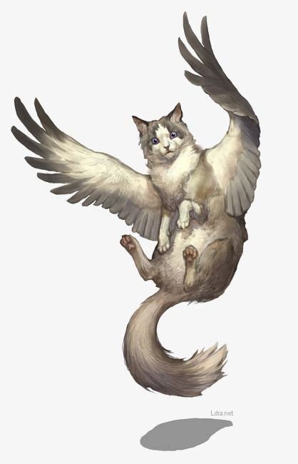 Image Result For Flying Cat Tiere Fantasy Tiere Fantasie Tiere
