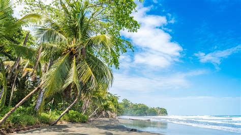 Best Beaches In Costa Rica Lonely Planet